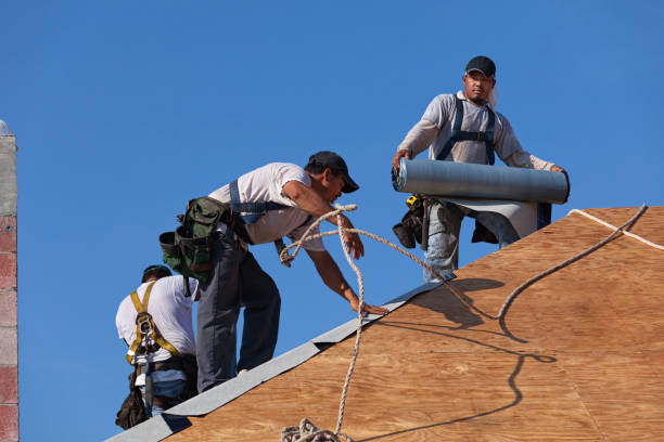 Best Storm Damage Roof Repair  in Elmer, NJ