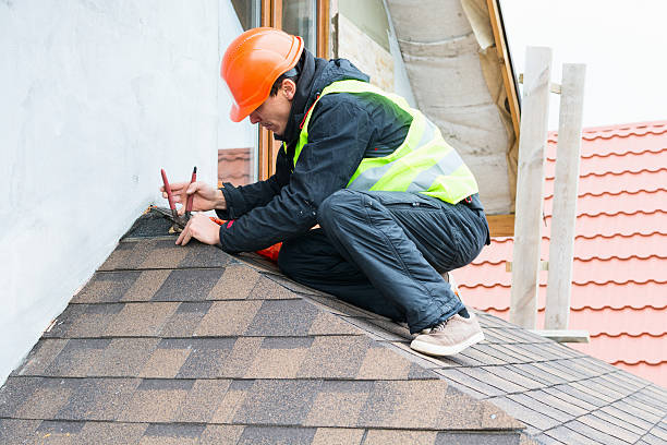 Best Flat Roof Repair Services  in Elmer, NJ